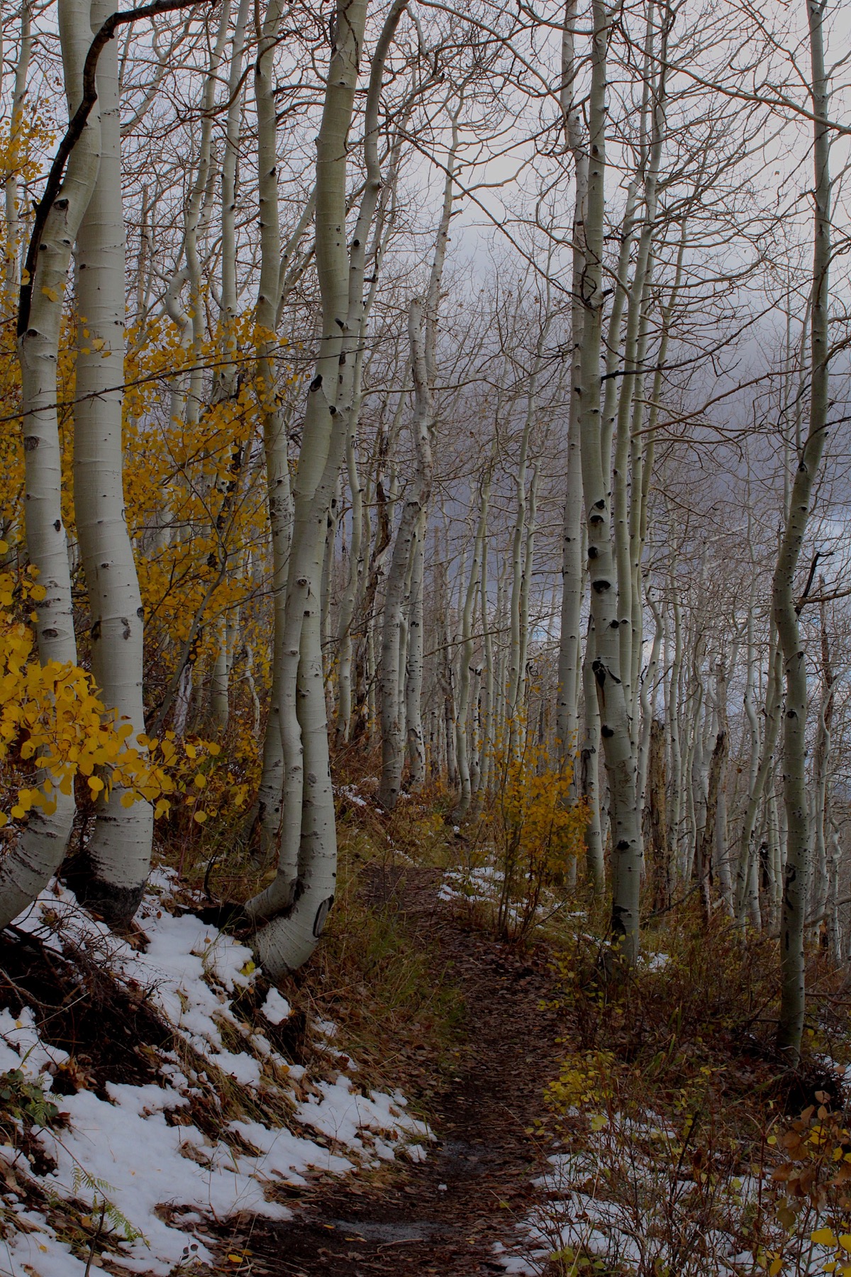 Creepy fall
