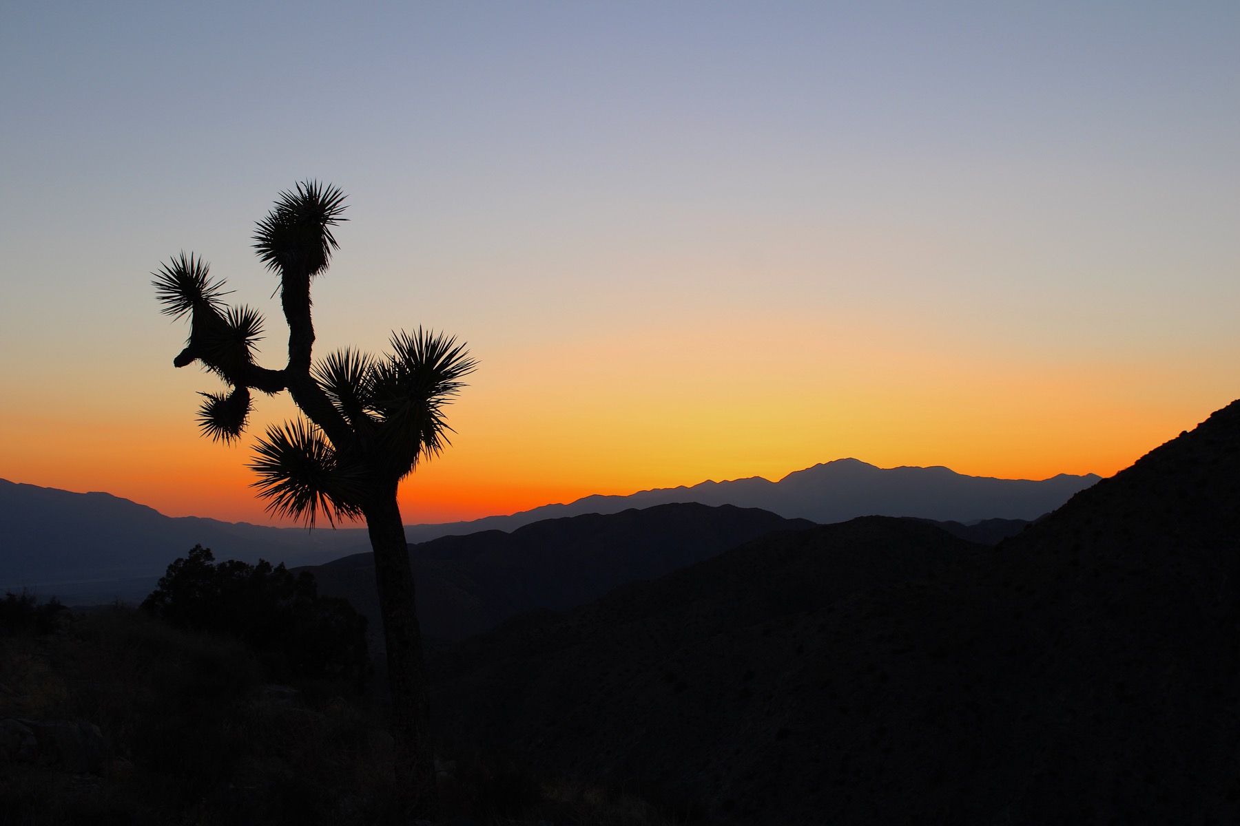 Desert sunset