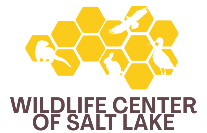 Wildlife Center of Salt Lake logo