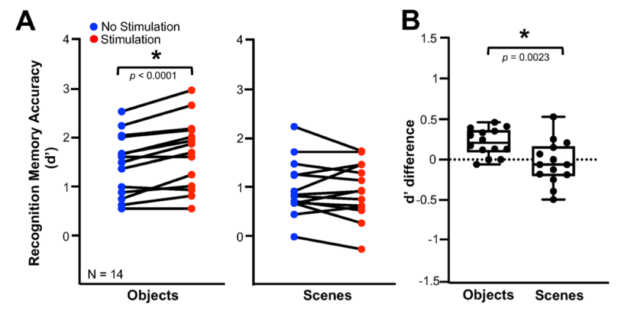 Results figure: recognition memory accuracy for objects and scenes with and without amygdala stimulation